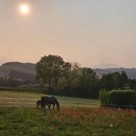 Apartmán Wochenend Mit Tollen Ausblick In Bucklige Welt *