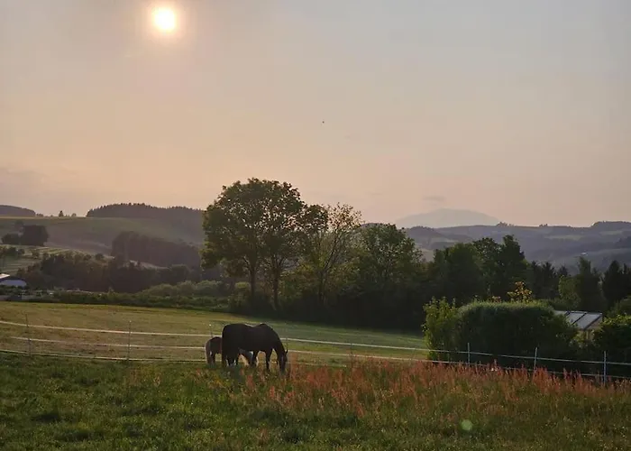 Apartment Wochenend Mit Tollen Ausblick In Bucklige Welt *