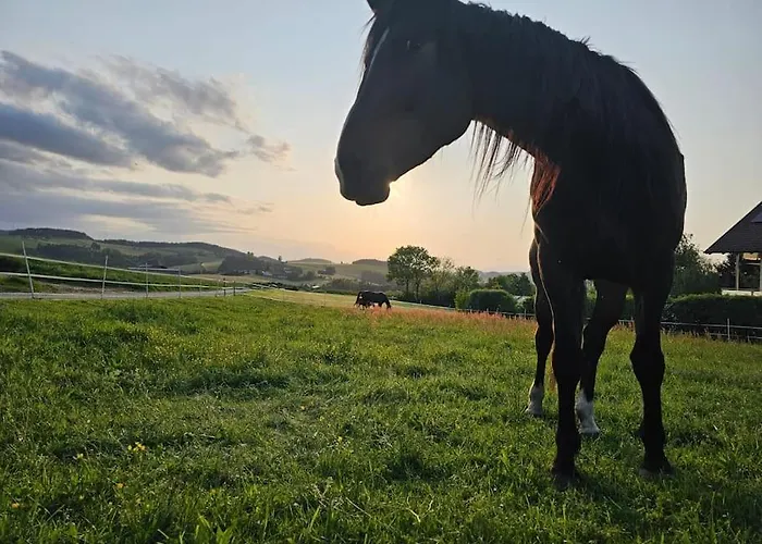 Wochenend Mit Tollen Ausblick In Bucklige Welt Apartment Kuhbach