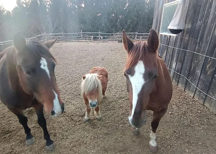 Wochenend Mit Tollen Ausblick In Bucklige Welt