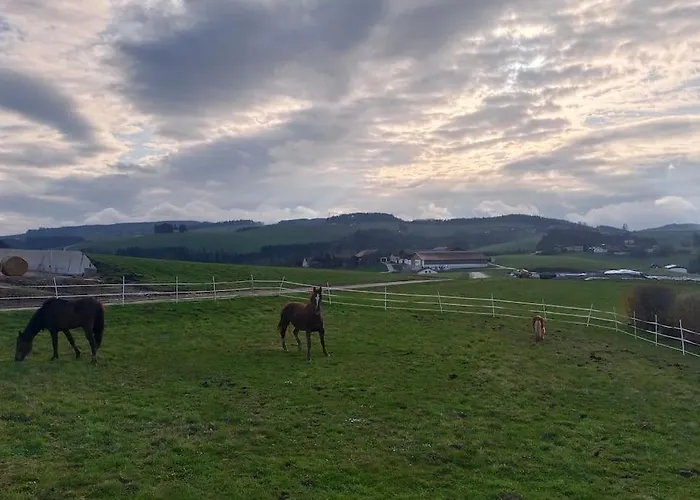 Wochenend Mit Tollen Ausblick In Bucklige Welt Apartment Kuhbach